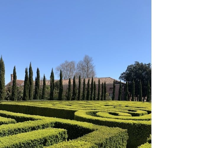 Giorgio Cini Foundation, Borges Labyrinth and Vatican chapels tour with audioguide