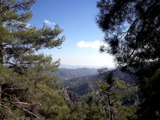 Private Half-Day Cyprus Tour by Taxi without Guide