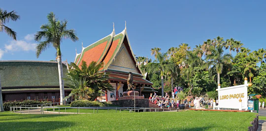 Loro Parque or Puerto de la Cruz round-trip transfer