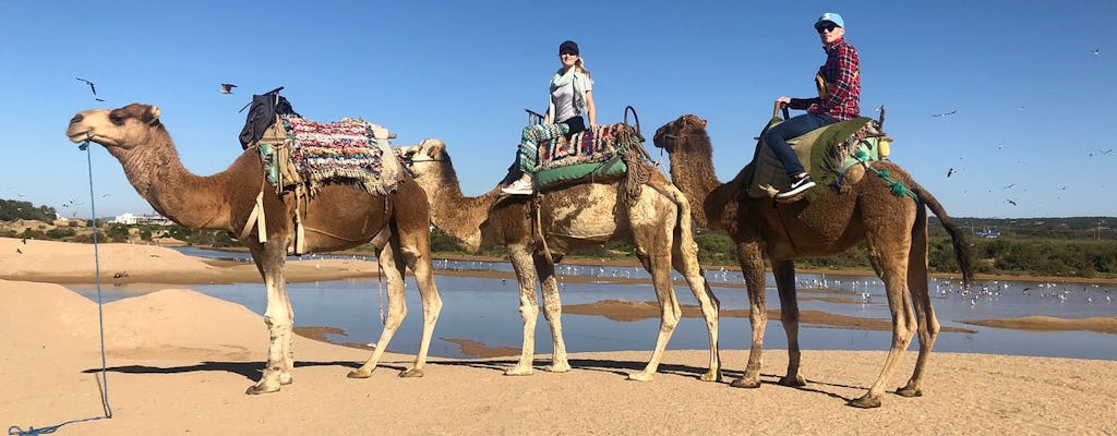 Giro in cammello sulla spiaggia di Essaouria