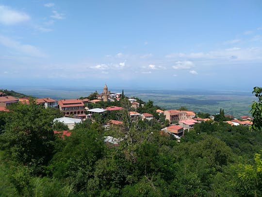 Gita giornaliera privata a Kakheti con visita di Sighnaghi da Tbilisi