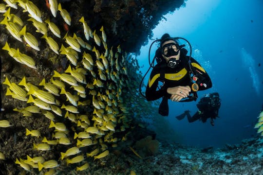 Buceo en la isla de Damaniyat desde Mascate