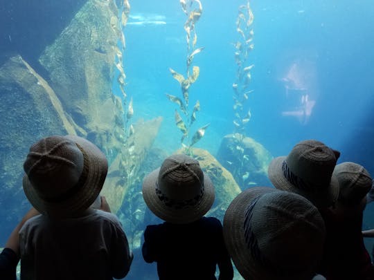 Jakarta Aquarium and Safari tickets with hotel pickup