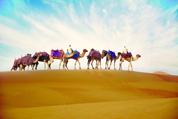 Giro in cammello con cena facoltativa al campo di Ras Al Khaimah