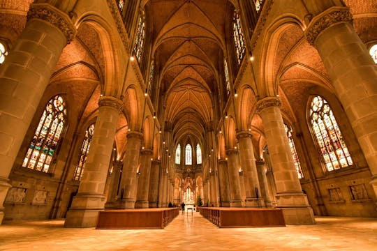 Visite guidée privée à pied des églises de Linz et de la vieille ville
