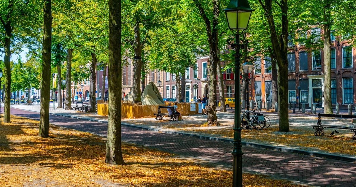 Lange Voorhout Guided Tours