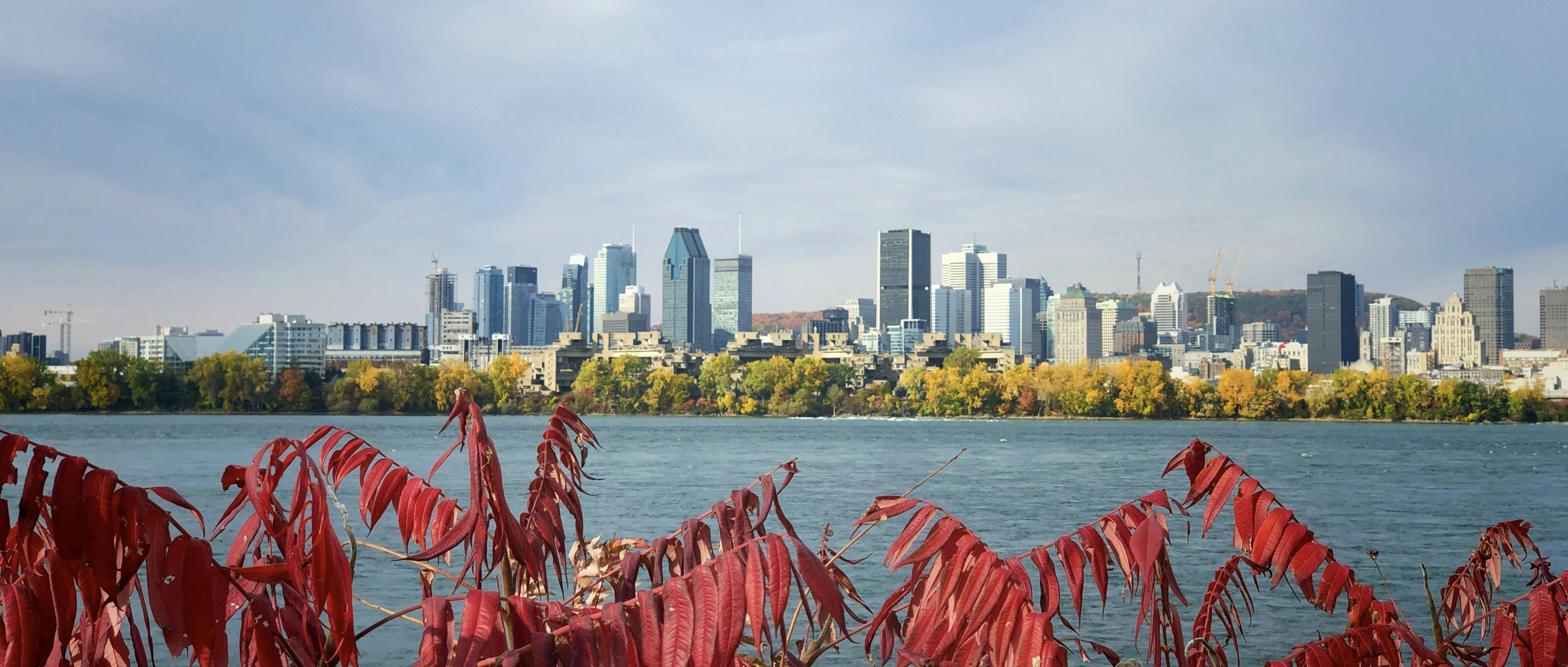 Montreal must-sees and hidden gems private walking tour