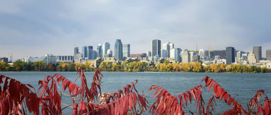 Montreal must-sees and hidden gems private walking tour