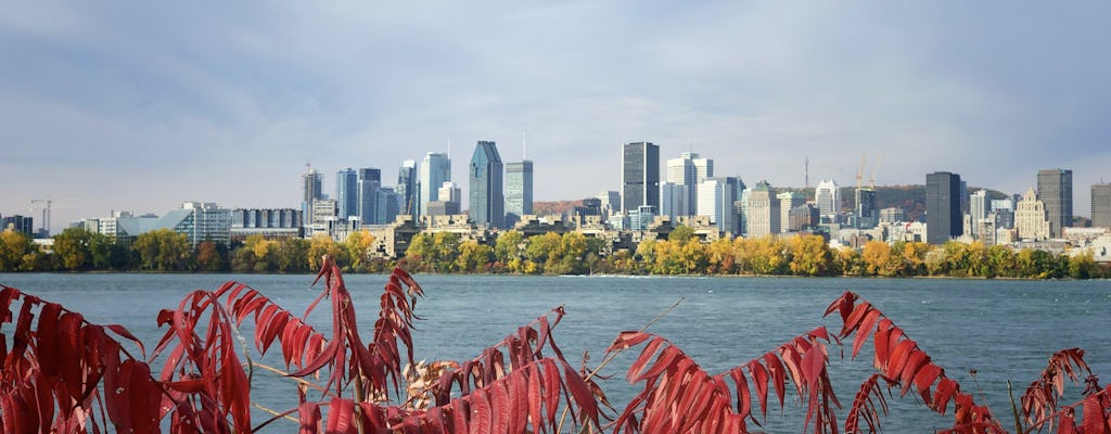 Recorrido a pie privado por las visitas obligadas y las gemas ocultas de Montreal