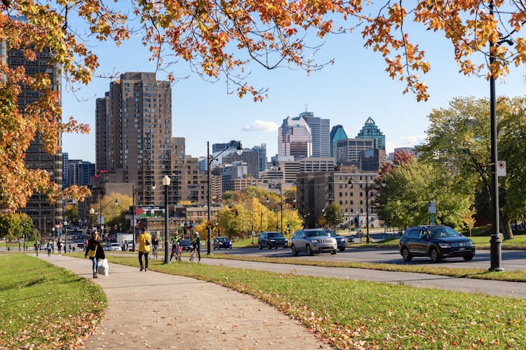 Montreal must-sees and hidden gems private walking tour