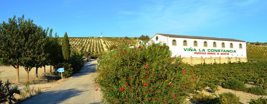 Privé ontbijt tussen de Wijnranken bij Bodega Viña la Constancia tocht