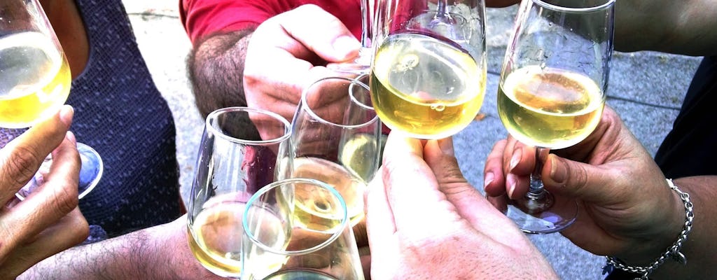 Privé Wijn & Tapasproeverij bij Bodega Viña la Constancia