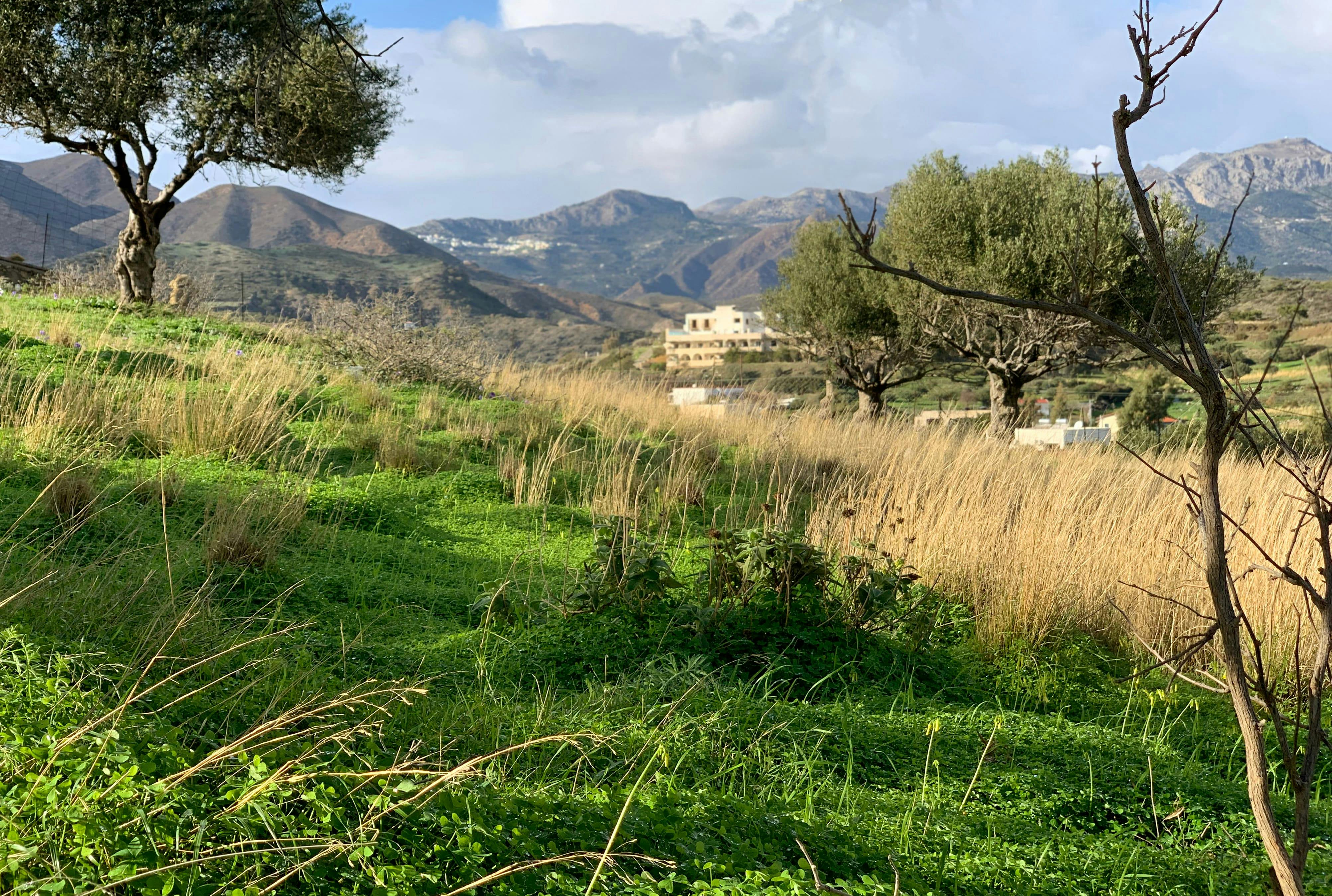 Karpathos Valley Walking Tour