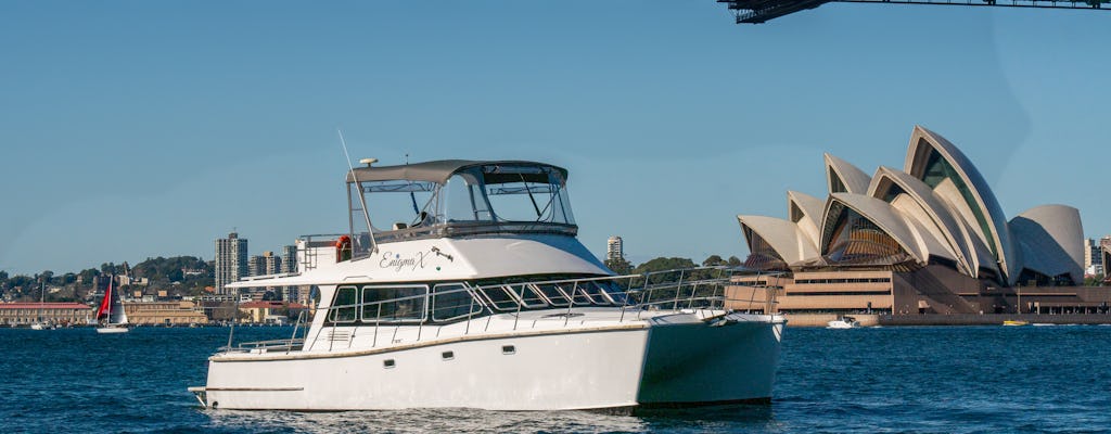 Vivid Sydney Festival small-group catamaran cruise