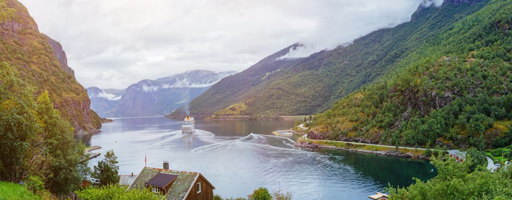 Viaggio di andata e ritorno autoguidato da Bergen al Sognefjord con la ferrovia Flam