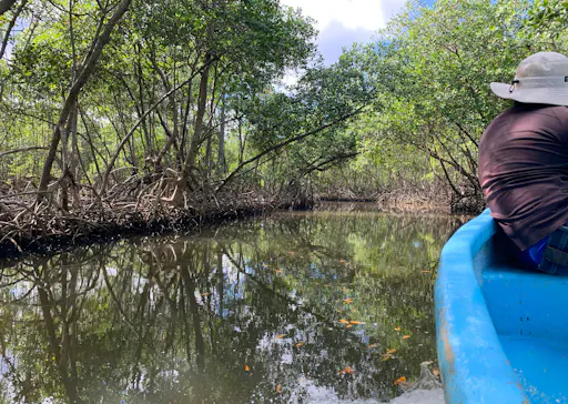 Private Los Haitises Exclusive Tour