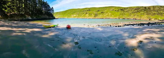 Kayaking and evening penguin tour