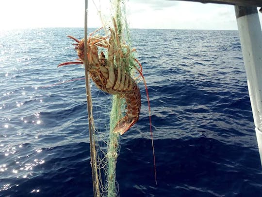 Crucero en barco con experiencia de pesca en Mallorca