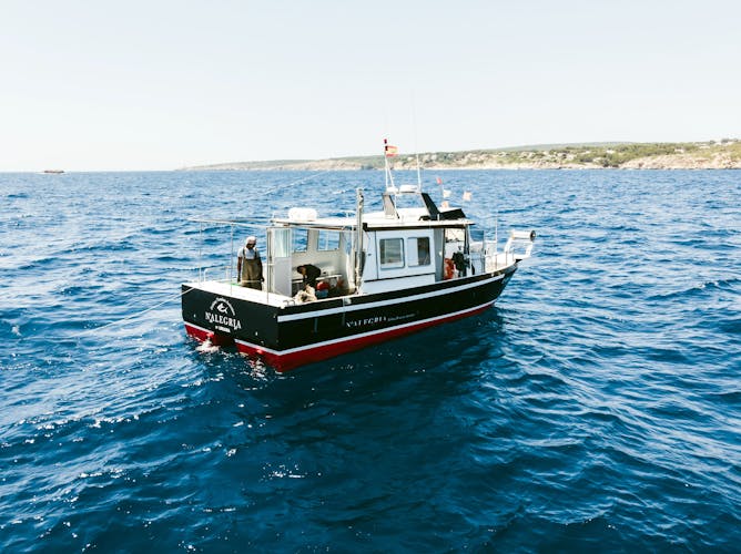 Majorca Fishing Experience Boat Cruise