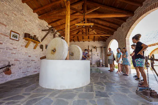 The Governor's Olive Mill Small Group Tour