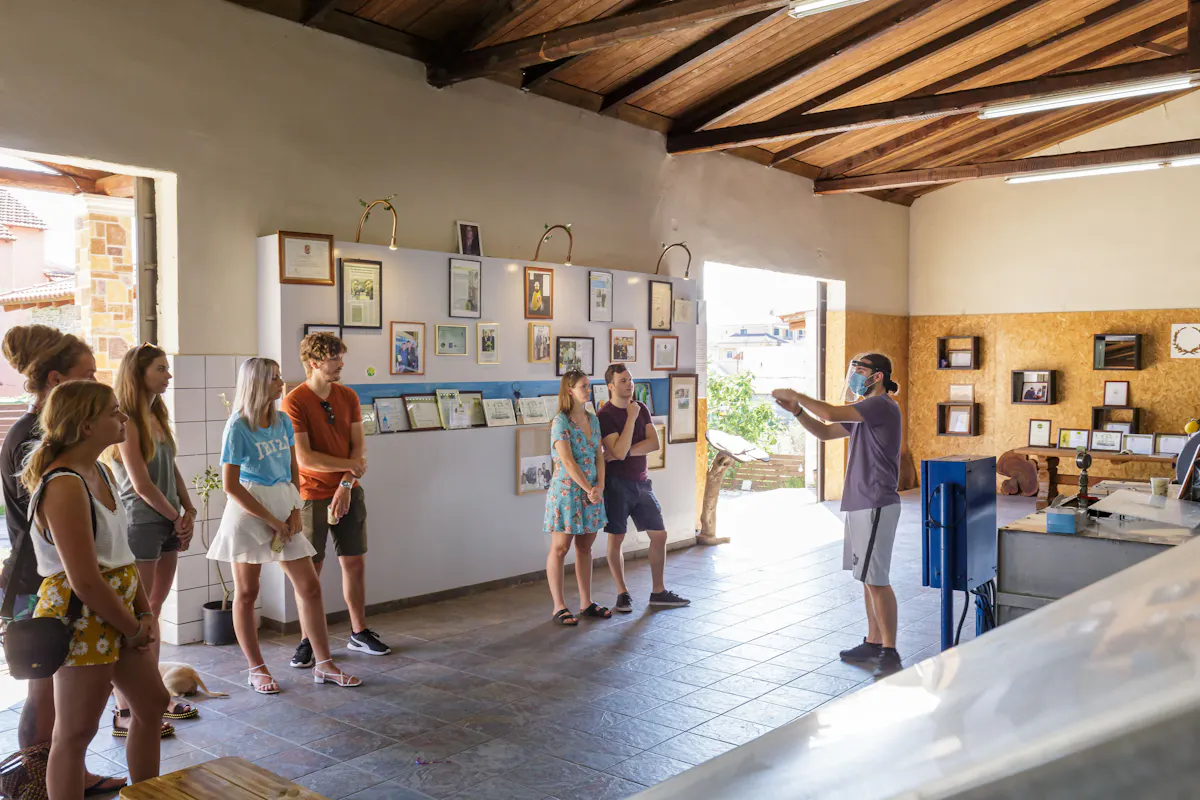 The Governor's Olive Mill Small Group Tour