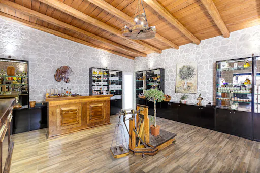 The Governor's Olive Mill Small Group Tour