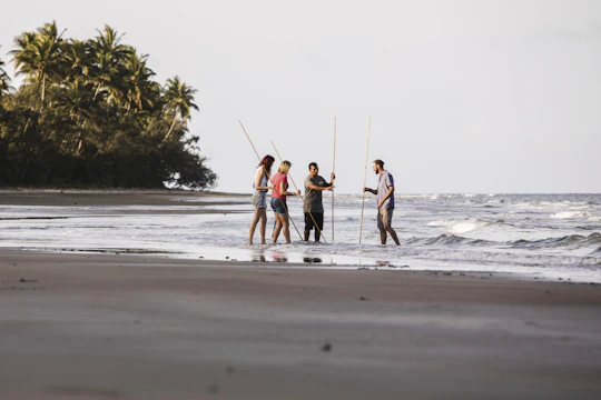 Private full day tour around Daintree and Mossman