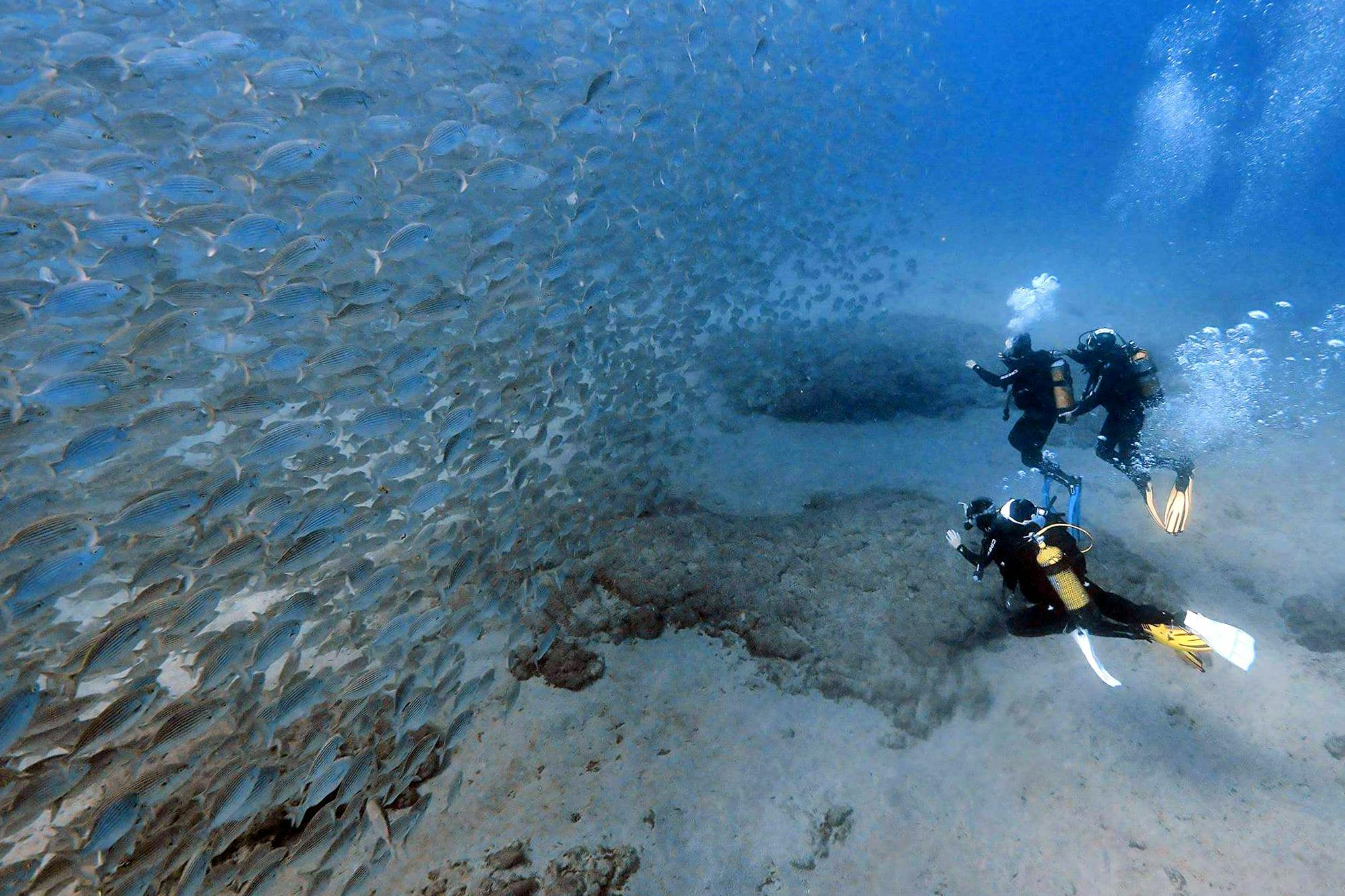 Beginner Scuba & Snorkeling Gran Canaria