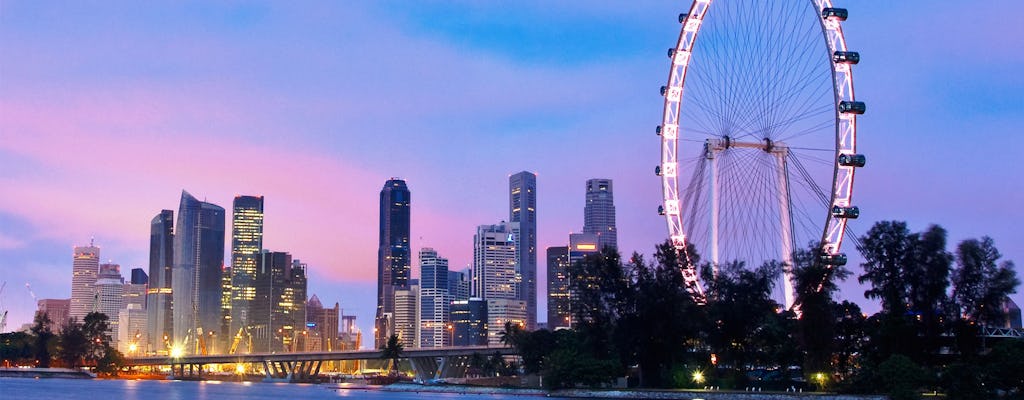 Koło obserwacyjne Singapore Flyer i bilety wstępu do Time Capsule