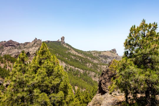 Gran Canaria Highlights Private Tour