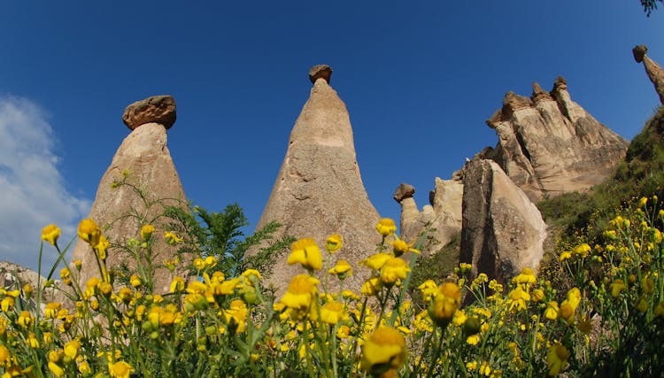 Best of Cappadocia - VIP private tour