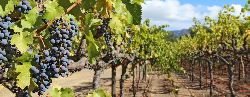 Half-day wine country tour from San Francisco