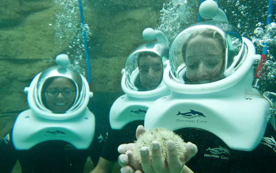 SeaVenture à Discovery Cove 2026