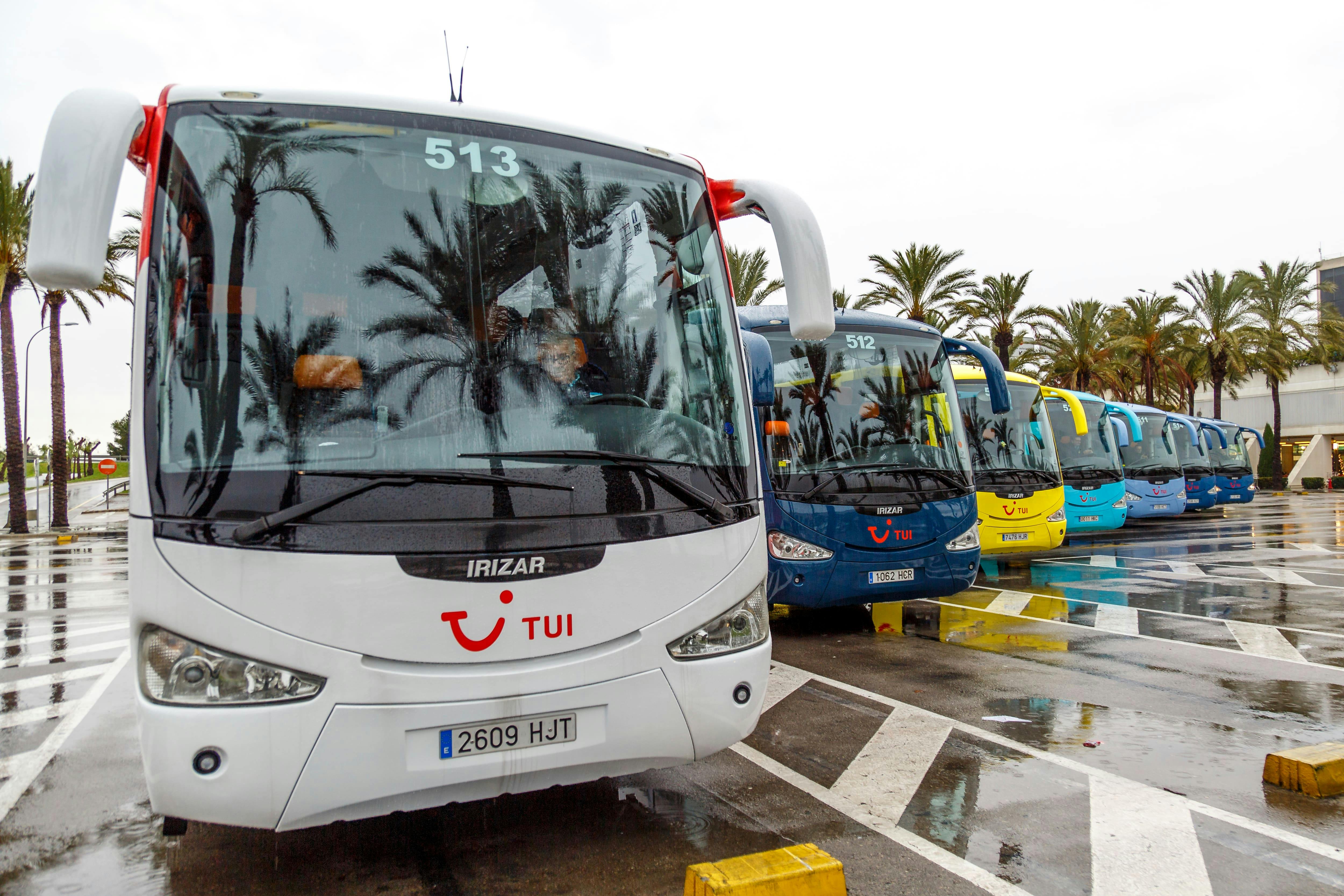 Loro Parque Transfer from Tenerife South