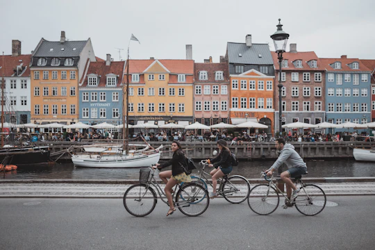 Copenhagen 3-hour private biking tour