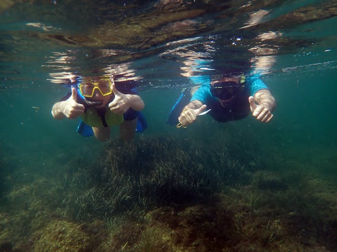 Tabarca Island snorkeling trip from Santa Pola