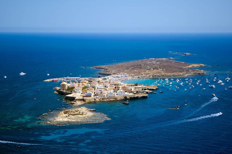 Tabarca Island snorkeling trip from Santa Pola