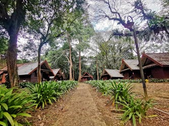 Tour nella giungla di Taman Negara