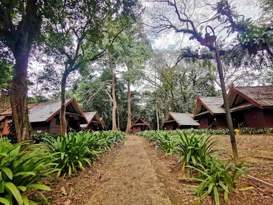 Wycieczka po dżungli Taman Negara