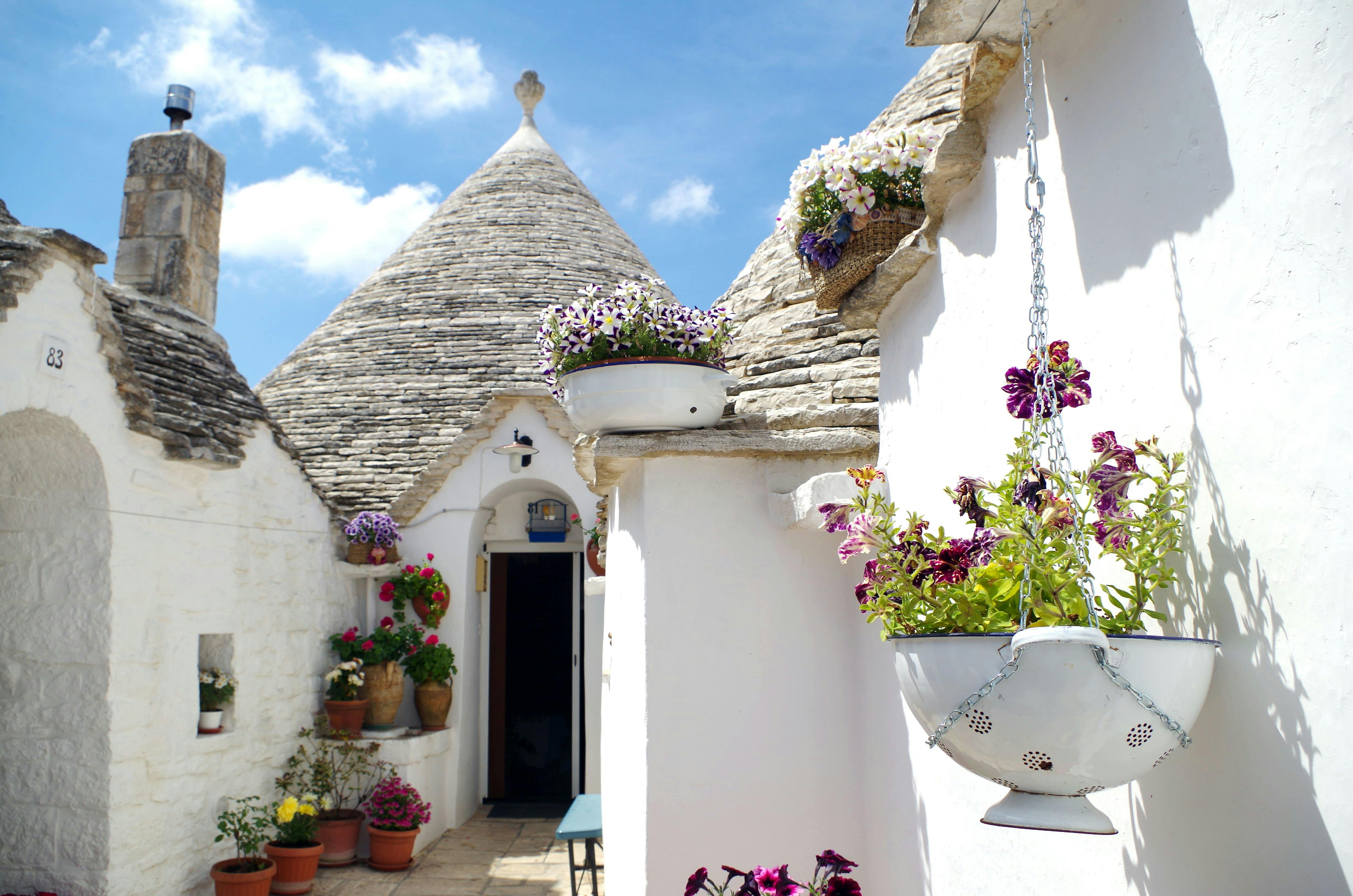 Alberobello & Ostuni Tour from Salento Adriatic Coast