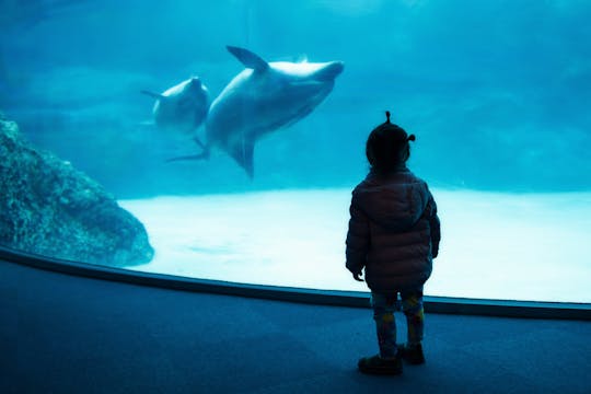 Billets Seaworld et Atlantis Ancol avec prise en charge à l'hôtel