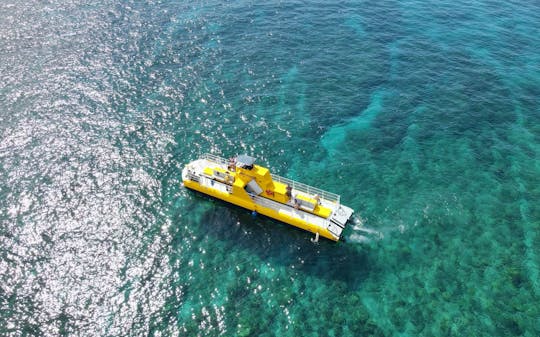 90-minute glass-bottom boat tour in Maui