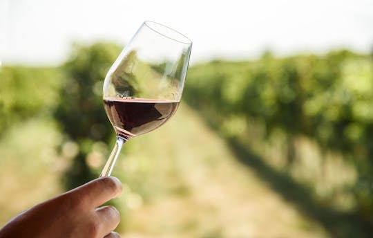 Wine Country tour and wine tasting with San Francisco sunset cruise