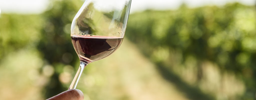 Visite combinée de dégustation de vins de Muir Woods, Sausalito et Wine Country