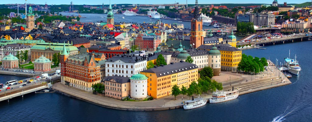 Stockholm Oude Stad en Vasa museum privé tour