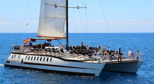 Dolphin Watching Catamaran Cruise