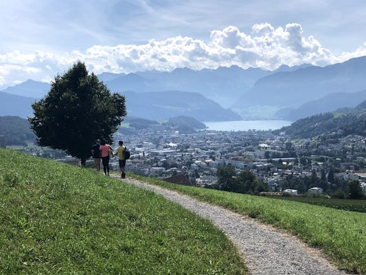 Farm visit and local food tasting from Lucerne