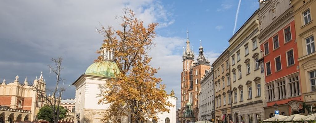 Krakow Rynek Underground Museum guided tour