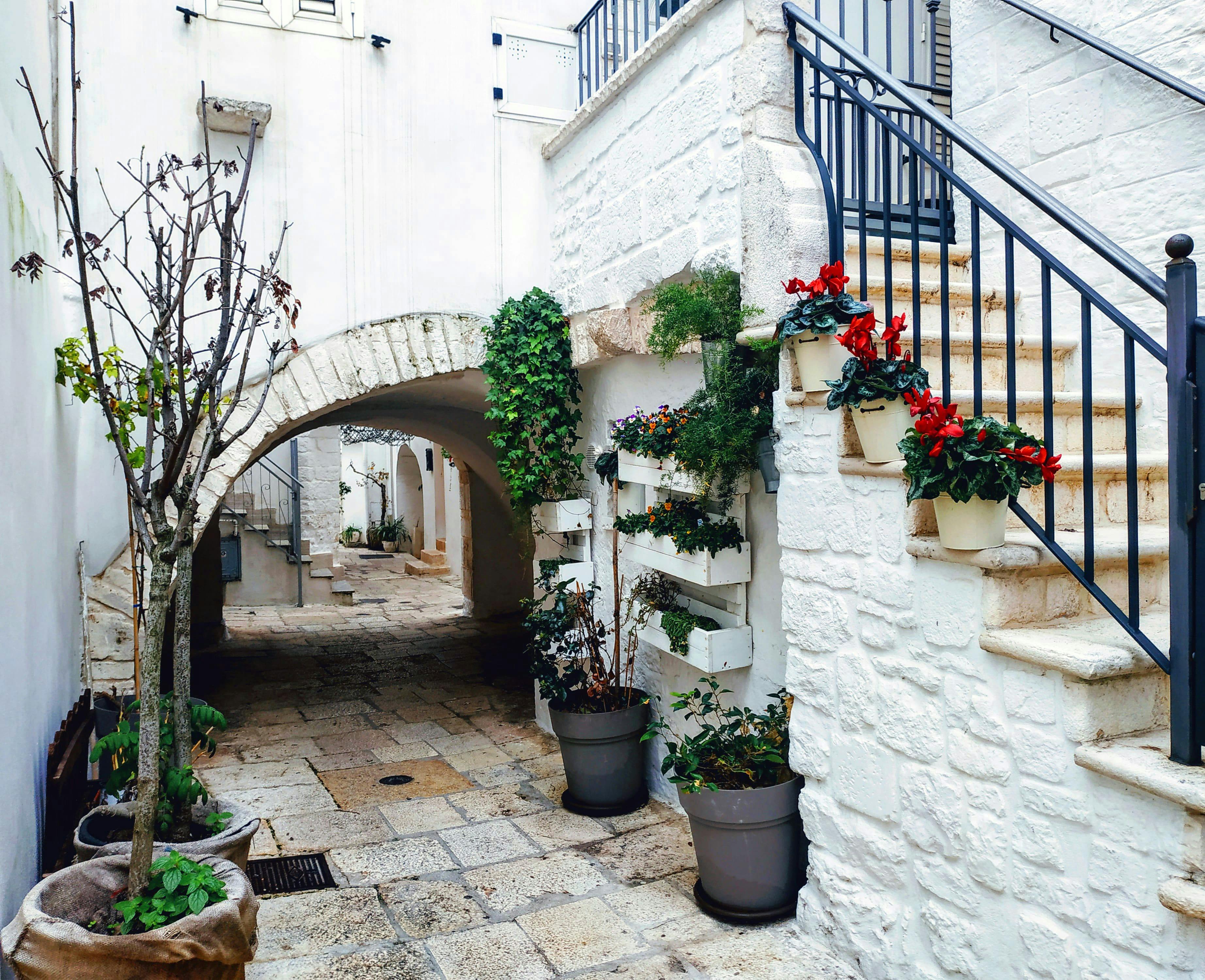 Culinary Tour of Cisternino