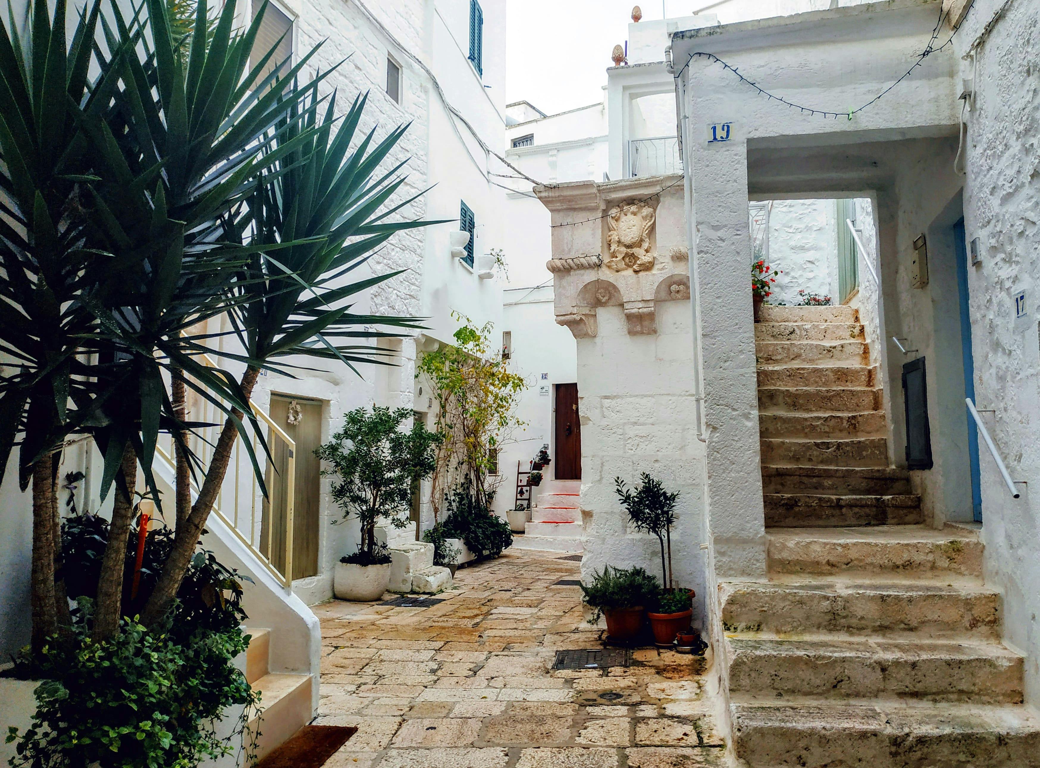 Culinary Tour of Cisternino